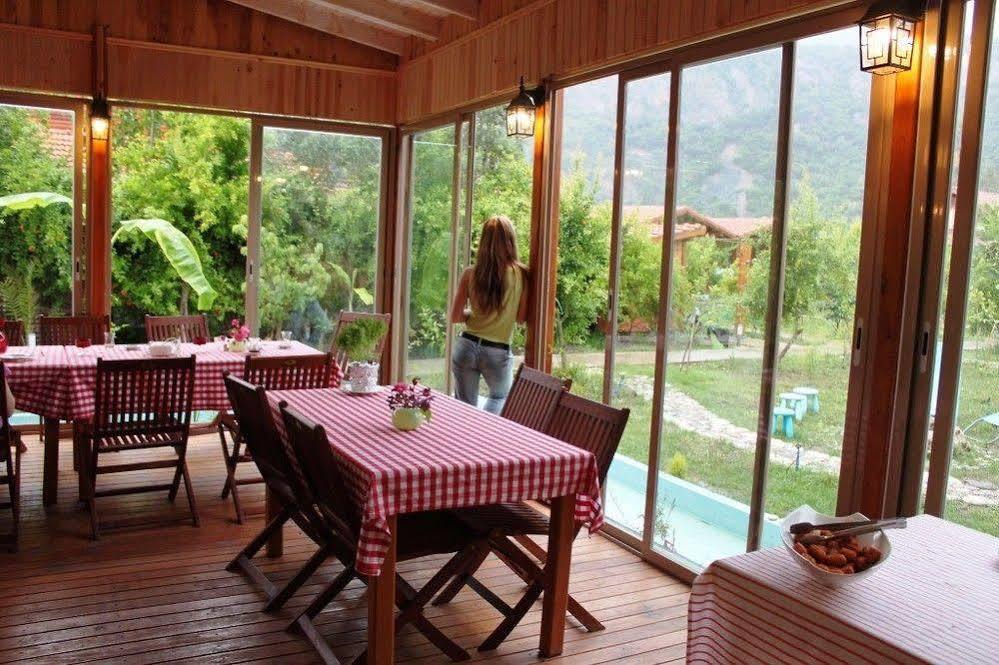 Villa Iz Çıralı Εξωτερικό φωτογραφία